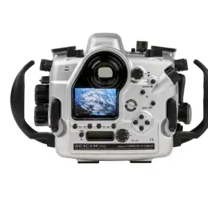 Esther Böhmer, SEACAM